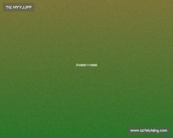 BN电子竞技(nh电子竞技)